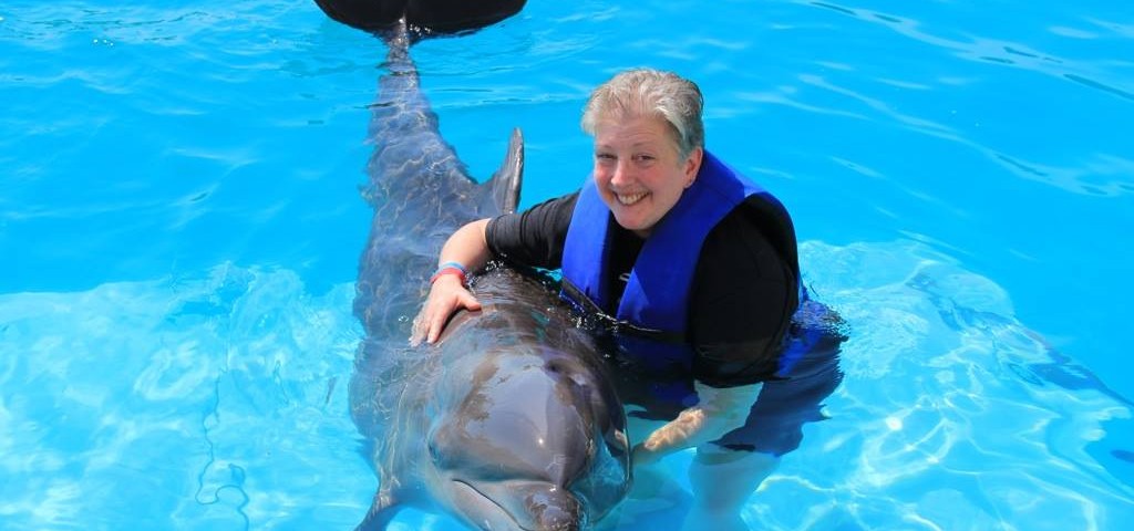 Dolphin Hugs