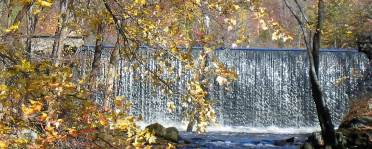Autumn Falls At Longwood Lake