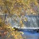 Autumn Falls At Longwood Lake